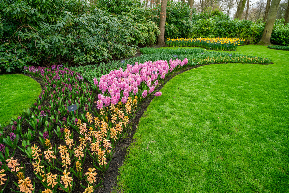 Alles für den Garten Geesthacht